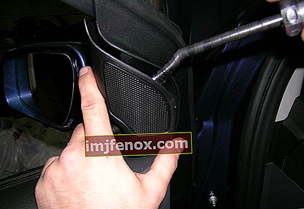 Fjern diskantbeskyttelsesnettet på Ford Focus II